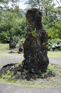 Lava tree